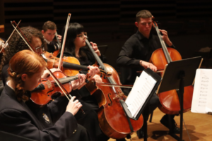 An image of 4 people in dark clothing playing stringed instruments as part of an orchestra.